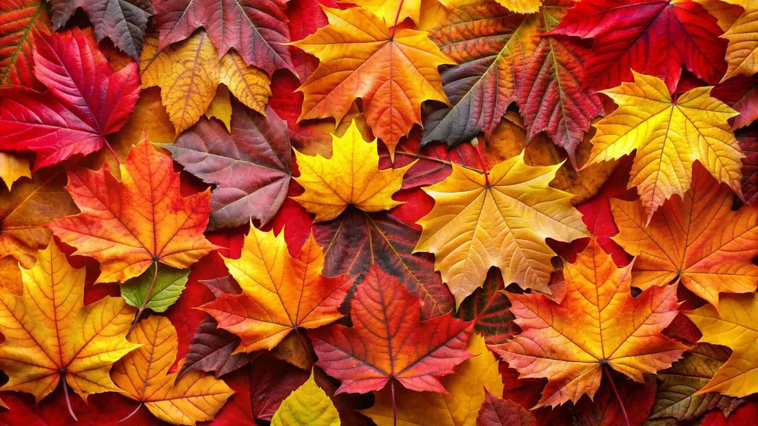 Warme graue Filzpantoffeln auf Holzboden im Herbst Wohnzimmer
